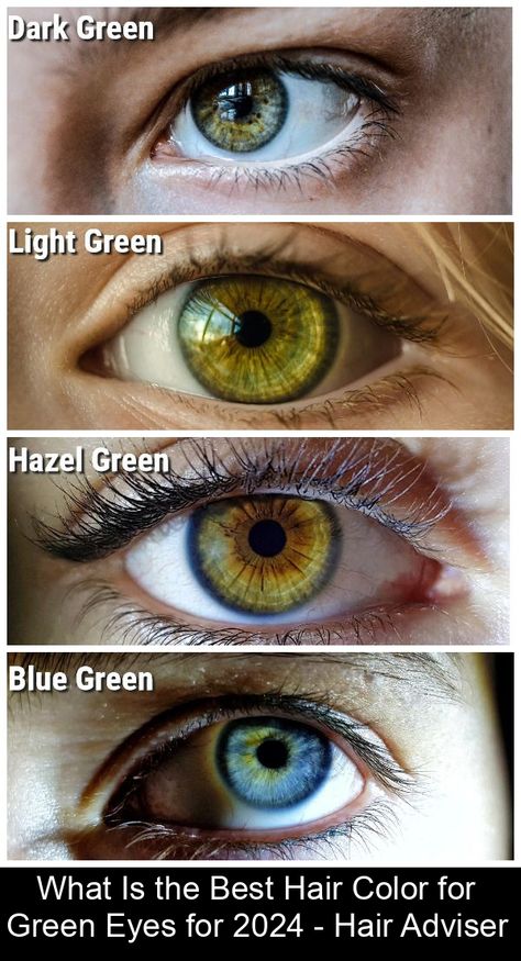 Despite the assumption that only 2% of people have green eyes and green is considered a rare eye color, a lot of our readers ask what hair color is best for green eyes. What can we say? You should take your skin tone, base hair color, and several other factors into account. Continue reading below … Base Hair Color, Hair Color For Green Eyes, Pretty Eyes Color, Brunette Hair Ideas, Afro Hairstyles Women, Brown Hairs, Rare Eye Colors, Hair Colour For Green Eyes, The Best Hair Color