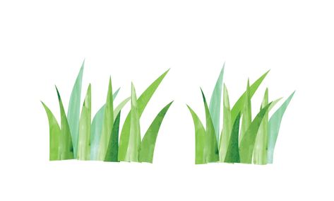 Grass Drawing Aesthetic, Drawing Ideas Green, Vector Grass, Watercolor Floral Background, Grass Watercolor, Cartoon Grass, Grass Clipart, Rabbit Images, Sketchbook App