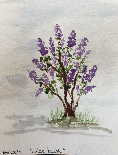 Lilac Bush Drawing, Lilac Bush Painting, Lilac Tree Drawing, Lilac Tree Painting, Lilac Bush Tattoo, Lilac Drawing, Bush Drawing, Lilac Art, Watercolor Tattoo Tree