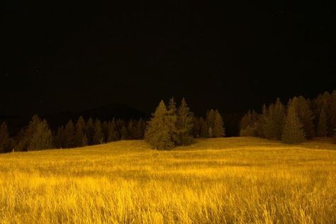 Yellow Field Aesthetic, Dreamcore Weirdcore, Arte Inspo, Nature Aesthetic, Pretty Places, New Age, Dark Aesthetic, Pretty Pictures, Night Time