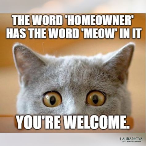 An even better reason to become a homeowner in 2024…. Homeowner Quotes, Real Estate Investing Rental Property, Mortgage Broker, Real Estate Investing, Rental Property, Estate Agent, Real Estate Agent, Funny Quotes, Real Estate