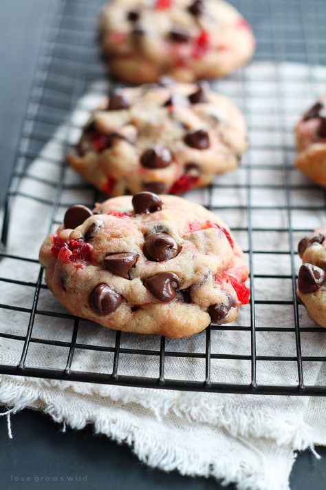 The perfect recipe for big, chewy chocolate chip cookies filled with sweet bites of maraschino cherries and plenty of chocolate. Tastes just like a chocolate-covered cherry in cookie form! | LoveGrowsWild.com Cherry Chocolate Chip Cookies, Cherry Recipes Dessert, Cherry Cookies, Sweet Bites, Maraschino Cherries, Cherry Chocolate, Cherry Desserts, Chocolate Covered Cherries, Cherry Recipes