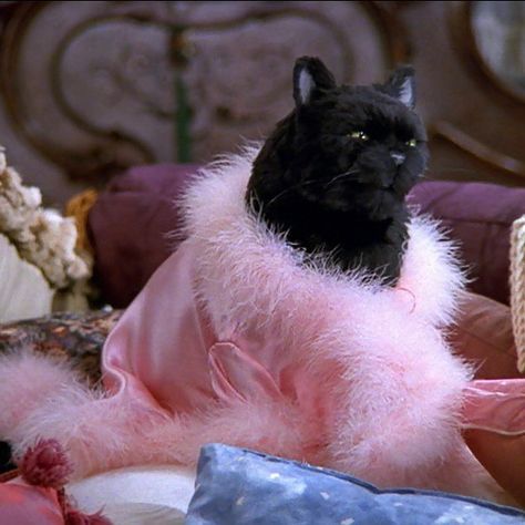 Sabrina Witch, Sabrina The Teenage Witch, Teen Witch, Smelly Cat, Sabrina Spellman, Black Witch, Witch Outfit, Season Of The Witch, Pink Vibes