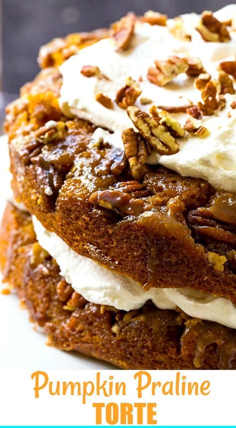 Pumpkin Praline Cake Pumpkin Torte, Pumpkin Praline, Pumpkin Crockpot, Pecan Pie Cake, Sweet Potato Pie Southern, Praline Cake, Torte Recipe, Thanksgiving Food Desserts, Pecan Cake