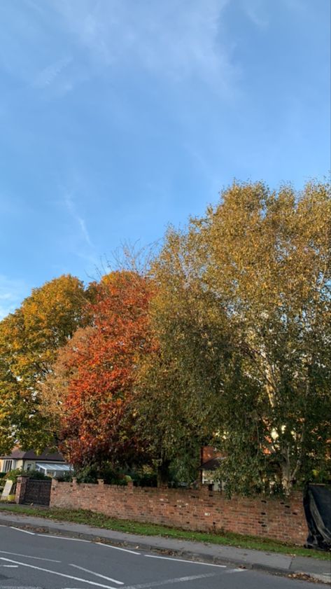 autumn colours, trees aesthetic, fall vibes, uk, england, october British Autumn Aesthetic, Uk Autumn Aesthetic, Autumn Uk Aesthetic, Autumn Aesthetic London, Autumn Aesthetic England, Fall Vibes, Fall Colors, England