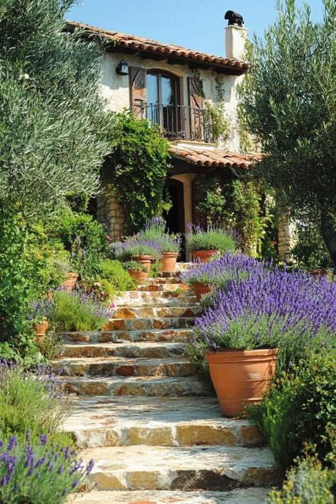 Mediterranean Garden Plants Selection is a beautiful and eco-friendly choice for any garden! 🌿🌞 Choose from a variety of drought-tolerant plants that thrive in warm climates, offering a stunning and sustainable way to enhance your outdoor spaces. Low-maintenance and rich in Mediterranean flair, these plants are perfect for creating a serene and inviting environment. Cultivate Mediterranean beauty today! 🌺🌵 #MediterraneanPlants #EcoFriendlyLiving #GardenDesign #OutdoorBeauty Country Porch Decor, Mediterranean Cottage, Sustainable Garden Design, Mediterranean Beauty, Mediterranean Gardens, Mediterranean Garden Design, Mediterranean Plants, Country Porch, Low Maintenance Landscaping