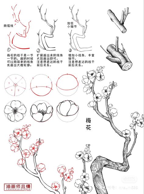 How To Draw A Bonsai Tree, Grass Blades Drawing, Chinese Sketch Drawing, Chinese Art Tutorial, Flower Bush Drawing, Japanese Tree Drawing, Plant Drawing Ideas, How To Draw Nature, Tree Reference