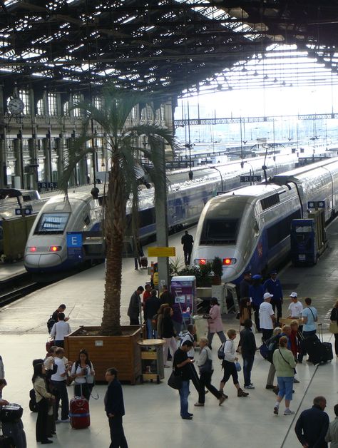 TGV, Gare de Lyon, Paris Paris Train, High Speed Train, Graphic Identity, High Speed Rail, Train Stations, Train Service, U Bahn, Speed Training, The South Of France