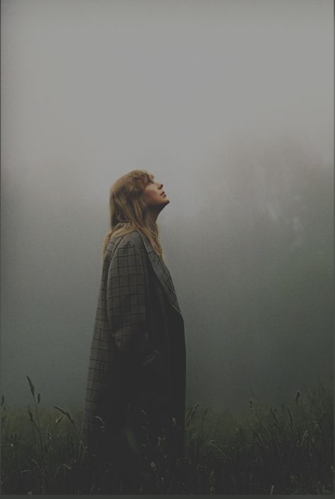 The Fog, Taylor Swift, Swift, Forest