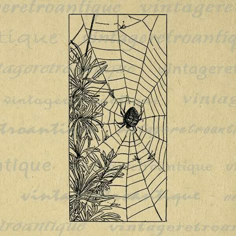 Spider On Spider Web, Motifs Art Nouveau, Image Graphic, Tiny Tattoo, Next Tattoo, Business Sales, Diy Tutorials, Tattoo Design Drawings, Graphic Image