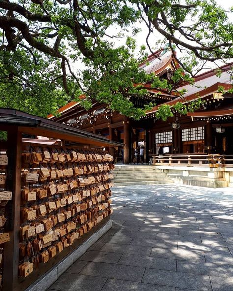 Meiji Jingu Shrine Tokyo, Meiji Jingu Shrine, Japan October, Meiji Jingu, Meiji Shrine, Japan Temple, Asia Trip, Peaceful Place, Japan Trip