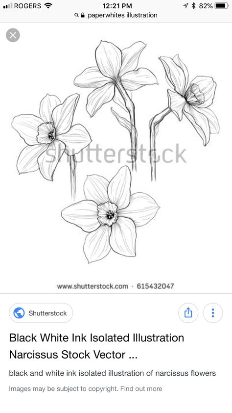 Paperwhites Flower Tattoo, White Narcissus Tattoo, Narcissus Paperwhite Tattoo, Paperwhites Tattoo, Paperwhite Tattoo, Paperwhite Flower Tattoo, Paperwhite Narcissus Tattoo, Narcissus Tattoo, Mum Tattoo