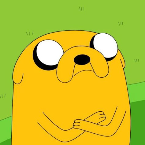 Jake Adventure Time Pfp, Jake The Dog Pfp, Pfp Bear, Aventura Time, Fin And Jack, Jake Pfp, Jake Dog, Jake And Finn, Dog Pfp