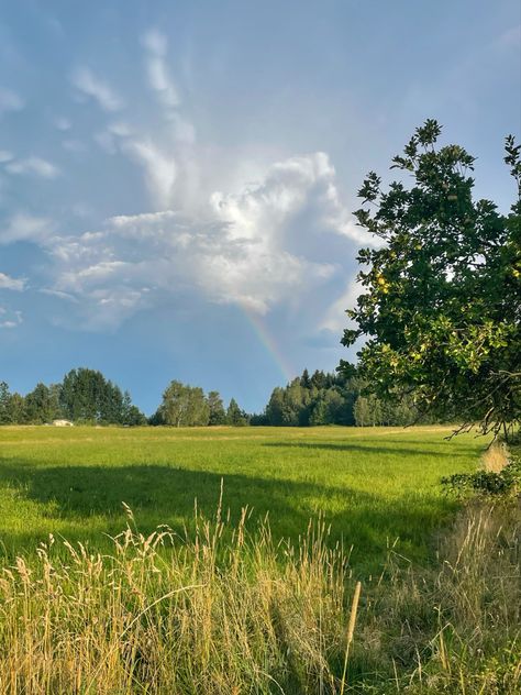 peaceful summer afternoon Summer Afternoon Aesthetic, Afternoon Aesthetic, Peaceful Summer, Sunny Afternoon, Summer Afternoon, Afternoon Nap, Daily Motivation, Summer Aesthetic, Pretty Face