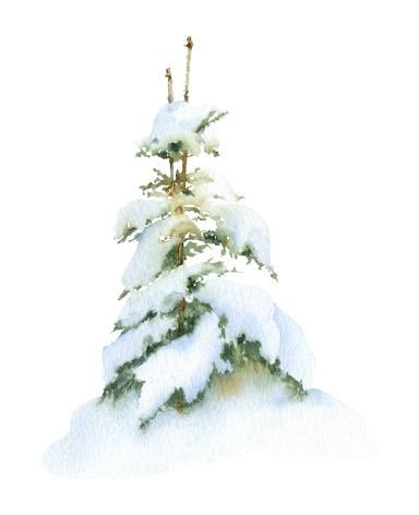 Snowy Pine Trees Study Easy How To Paint Watercolor Step By Step | The Art Sherpa | The Art Sherpa How To Paint Snow On Trees, How To Paint Watercolor Trees, Watercolor Tutorial Step By Step Videos, Winter Watercolor Paintings Easy, Winter Watercolor Simple, Winter Watercolor Paintings, Watercolor Tutorial Step By Step, Xmas Watercolor, Painting For Beginners Videos