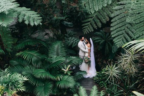 Rainforest Wedding, Beach Wedding Pics, Jungle Wedding, Cotton Wedding, Sophisticated Bride, Nails Elephant, Elephant Wedding, In The Jungle, Venue Ideas