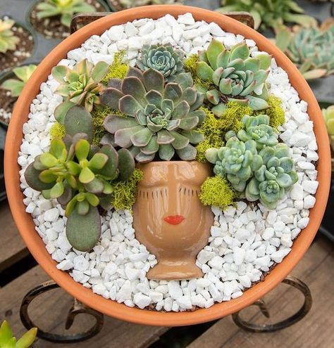 44 Gorgeous Succulent Planter Display Ideas - Shelterness Succulent Arrangements Diy, Indoor Succulent Planter, Red Succulents, Succulent Bowls, Succulent Display, Decorative Pebbles, Purple Succulents, Succulent Landscaping, Succulent Art