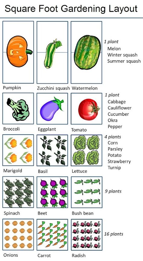 The ten basic tenets of square-foot gardening are:  1. Arrange your garden in squares, not rows. Lay it out in 4′x4′ planting areas.  2. Build boxes to hold a new soil mix above ground.  3. Space boxe Square Foot Gardening Plans, Gardening Layout, Square Foot Gardening Layout, Garden Layout Vegetable, Vegetable Garden Planning, Corn Plant, Bush Beans, Starting A Garden, Veg Garden