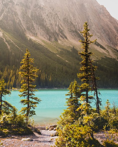 A highlight from our time in Yoho National Park, just to the west of Banff. We were thrilled to find out about this incredible alpine lake in Yoho NP, which is a pretty accessible day hike from the main road through the park and a short drive to the campgrounds. We walked up the moderate climb to the lake in the late afternoon, sharing the trail with a few others. Once we arrived at the shoreline we quickly found a secluded cove away from the others. The water was cold and refreshing (a... Yoho National Park, Alpine Lake, Late Afternoon, Day Hike, The Park, Climbing, National Park, National Parks, How To Find Out