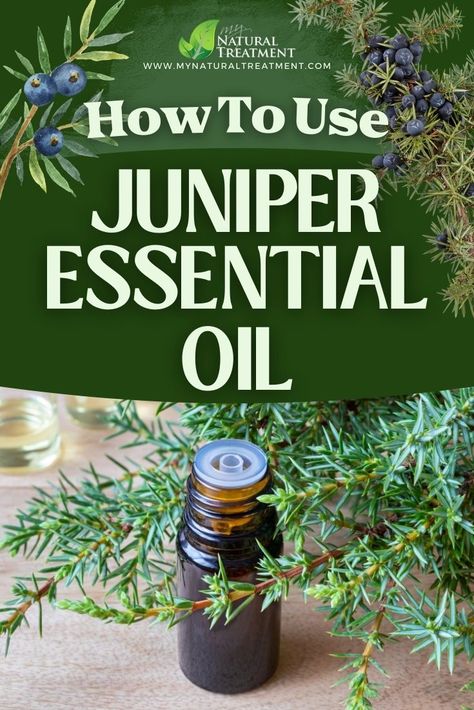 How to Use Juniper Essential Oil  #juniper #juniperberry #juniperberries #juniperuses #juniperremedy #juniperbenefits #junipercures #juniperremedies #juniperoil #essentialoil #juniperessentialoil #essentialoils Witchy Protection, Protection Plants, Homemade Oils, Homemade Extracts, Natural Medicine Recipes, Medicine Recipes, Juniper Oil, Juniper Essential Oil, Tree Buds