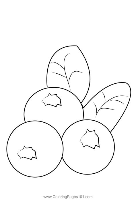 Blueberris 3 Coloring Page Blueberry Coloring Page, Blue Berries Drawing, Blueberries Drawing, Blueberry Drawing, Fruits Drawing, Unicorn Printables, Drawing Ideas List, Blue Fruits, Unicorn Coloring Pages