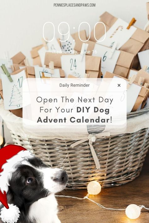 Homemade Dog Advent Calendar, Doggie Advent Calendar, Advent Calendar For Dog, Advent Calendar For Dogs Diy, Puppy Advent Calendar, Advent Calendar For Dogs, Dog Advent Calendar Diy, Diy Dog Advent Calendar, Diy Advent Calendar Fillers