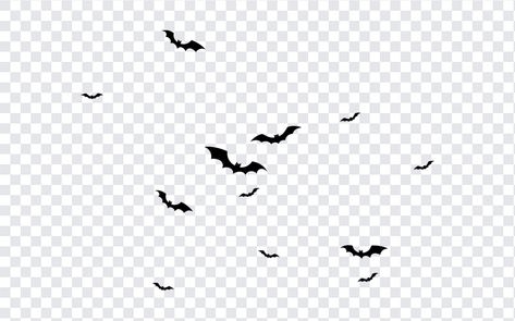 Halloween Bats PNG Bat Png, Bat Vector, Halloween Moon, Halloween Vector, Cute Bat, Overlays Transparent, Halloween Icons, Graphic Elements, Free Halloween