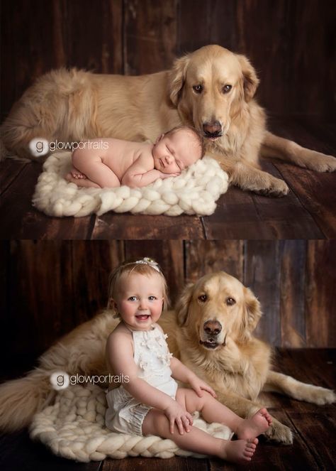 Newborn Newborn And Dog, Newborn Photography Boy, Newborn Photography Poses, Toddler Photography, Newborn Baby Photos, Foto Baby, Newborn Shoot, Dogs And Kids, Newborn Baby Photography