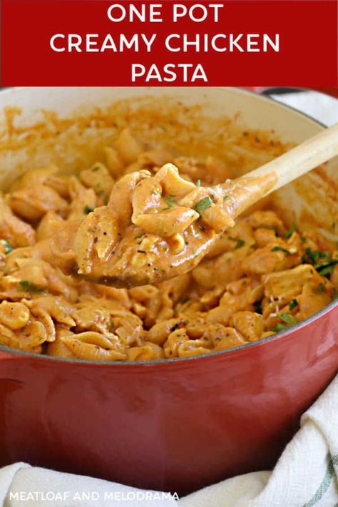 Chicken And Shells Recipes, Pasta Shells With Chicken, Shells Pasta Recipes Chicken, Creamy Tomato Chicken Pasta Recipes, Italian Pasta With Chicken, Chicken And Shells Pasta, One Pot Creamy Chicken Pasta, One Pot Creamy Pasta, Creamy Tomato Chicken Pasta