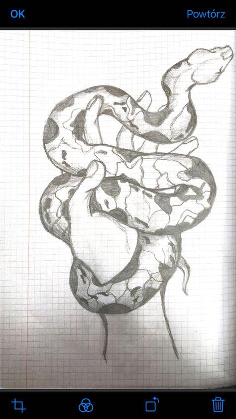 Snake Patterns Drawing, Hand Holding Snake Drawing, Drawing Ideas Snake, Snake Drawing Sketches, Snake Drawings, Snake Sketch, Snake Drawing, Nature Art Drawings, Art Sketches Doodles