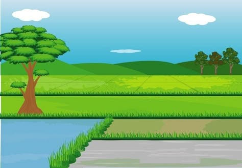 Village Scene Drawing, Green Screen Images, Free Green Screen Backgrounds, Forest Cartoon, Paddy Field, Green Grass Background, Photoshop Backgrounds Backdrops, House Cartoon, Farm Paintings