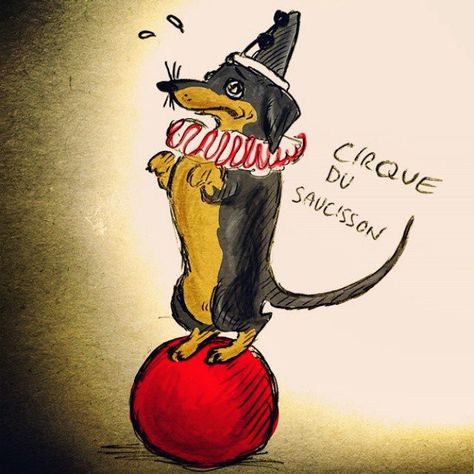 Dweebsville on Instagram: “Cirque du Saucisson, the world's only all-dachshund circus troupe! #dachshund #sausagedog #doxie #clown #illustration #dailypic…” Circus Dog, Clown Illustration, Circus Animals, Dog Drawing, Sausage Dog, Animal Drawings, Scooby Doo, Dachshund, Circus