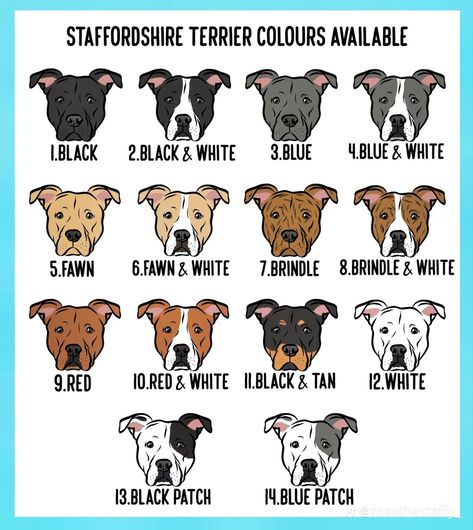 Terrier Breeds, White Onesie, Black Patch, Staffordshire Bull Terrier, Staffordshire Terrier, Pet Memorial Gifts, Cat Names, Pet Memorial, Pet Gift