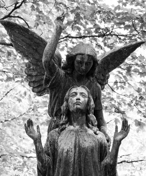 An original fine art print by Denise MacLean.  A beautiful Victorian statue of an angel guiding a soul to Heaven.  A lovely photo framed and will make a wonderful gift for someone special. This photo will be printed by a professional lab using archival inks in the finish of your choice (e.g. glossy, matte, lustre or metallic).  To prevent cropping, an 8 x 12 and a 12 x 18 are available. Your print will be shipped directly from the professional lab in a rigid envelope for protection. Larger sizes are available, as well as metal prints, mounted, and canvas. Please message me for a quote. Please visit www.missmacmemories.smugmug.com to view other memorial art images. Angel Statue Photography, White Angel Aesthetic, Victorian Statue, Weeping Angel Statue, Creepy Statues, Statue Of Angel, Angel Black And White, Gothic Oil Painting, Black Heaven