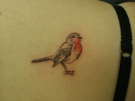 Robin Tattoo                                                                                                                                                                                 More Robin Tattoo Minimalist, Mums Tattoo, Falkirk Scotland, Ladies Tattoo, Robin Bird Tattoos, Robin Tattoo, Bird Tattoo Meaning, Vogel Tattoo, Tattoo Pics