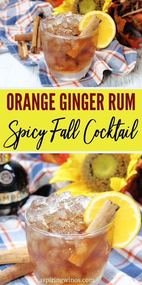 Orange Ginger Rum Spicy Fall Cocktail | Fall Themed Cocktail Recipes | Spiced Rum Cocktails | Ginger Cocktails | Cocktail Recipes #OrangeGingerRumSpicyFallCocktail #FallCocktailes #SpicedRum #GingerCocktails #CocktailRecipes Spicy Fall Cocktails, Spiced Rum Cocktails Easy, Fall Rum Cocktails, Themed Cocktail Recipes, Spiced Rum Drinks, Spiced Rum Cocktails, Rum Cocktails Easy, Rum Drinks Recipes, Slushy Drinks