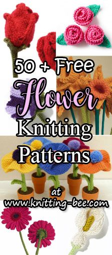 Flowers ⋆ Knitting Bee (51 free knitting patterns) Flower Knitting Chart, Crochet Robin, Flowers Knitting, All Free Knitting, Flower Knitting, Knit Loom, Knitted Flower Pattern, Knit Flowers, Christmas Knitting Patterns Free