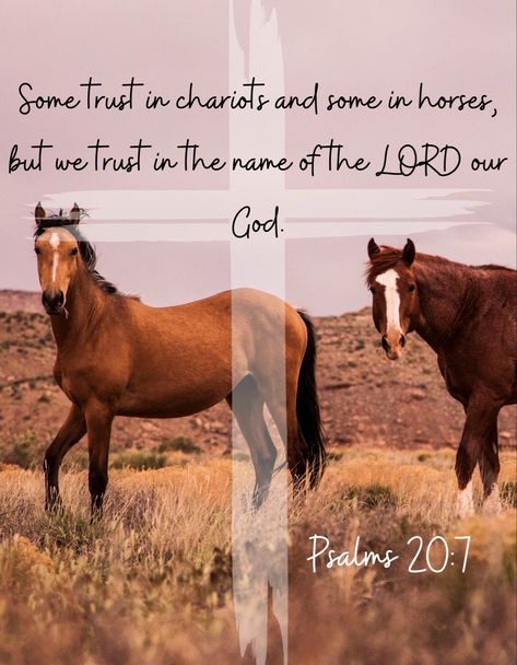 Christian Horse Quotes, Christian Horse Wallpaper, Bible Verse About Horses, Cowgirl Bible Verses, Cowboy Bible Verses, Western Life Quotes, Western Bible Verses, Scorpio Energy, Motivational Bible Quotes