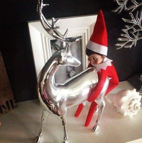 Elf Memes, Elf On The Shelves, Bad Elf, Awesome Elf On The Shelf Ideas, Bad Santa, Xmas Elf, Elf Antics, Elf Fun, Funny Pix