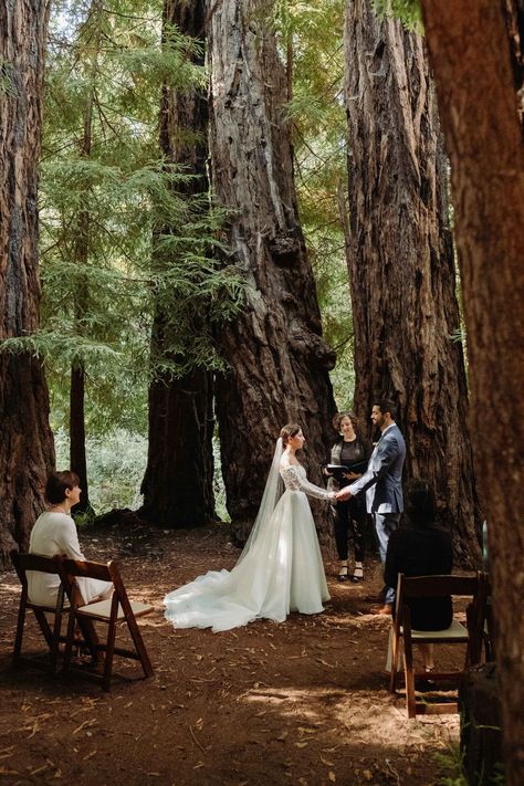 Glen Oaks Bridge House Wedding in Big Sur - Melissa Ergo Photography - Santa Cruz Wedding Photographer Redwood Forest Wedding, Santa Cruz Wedding, Bridge House, Big Sur Wedding, Fairy Ring, Redwood Tree, Big Sur California, Redwood Forest, Places To Get Married