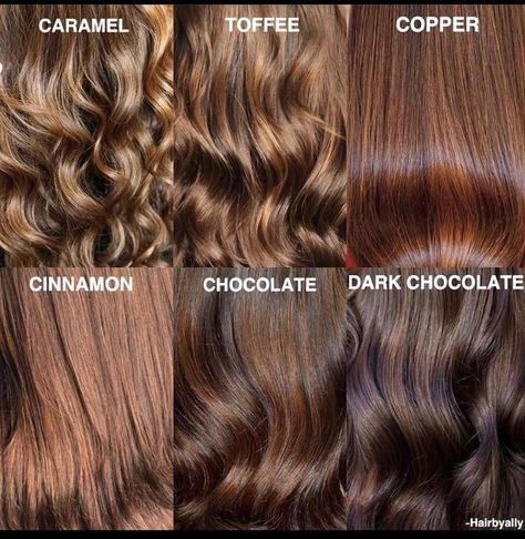 Cinnamon Coloured Hair, Brown Hazelnut Hair Color, Brown And Golden Hair, Cinnamon Hair Color On Brown Skin, Brown Hair With Auburn Tint, Cinnamon Brown Hair Colors, Soft Cinnamon Hair Color, Brown Hair Colors Fair Skin, Brown Hazelnut Hair