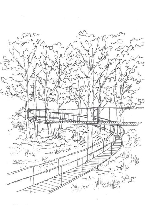 This landscape design shows an elevated explorative walkway winding through the forest, connecting the visitor directly to their natural surroundings Forest Concept Architecture, Urban Landscape Sketch, Walkway Design Architecture, Pathway Sketch, Landscape Design Drawings Sketches, Landscape Plan Sketch, Wetland Landscape Design, Landscape Architecture Sketch, Walkway Architecture