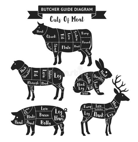 Deer Butchering, Butcher Diagram, Lamb Cuts, Butcher's Cut, Butcher Shop, Spare Ribs, Cut Image, Animal Silhouette, Meat Cuts