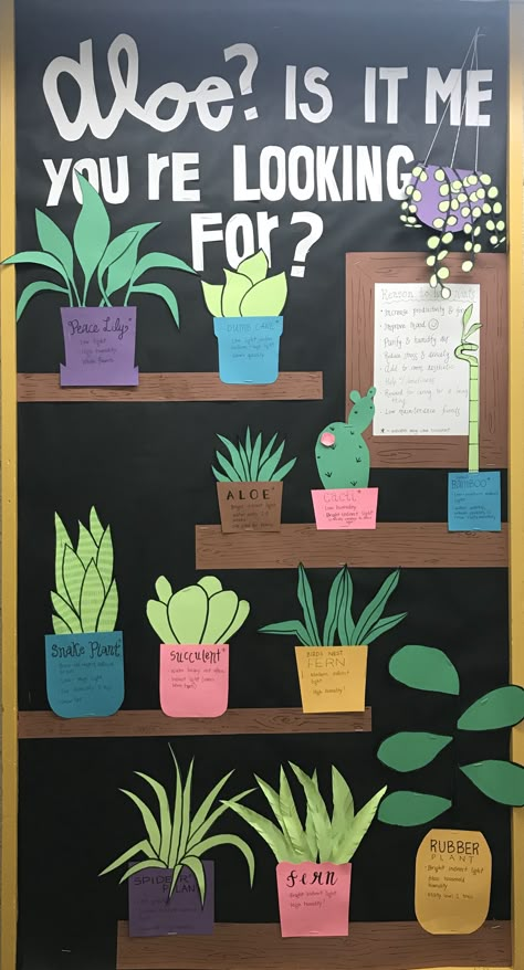 Succulent Classroom Decor Themes, Vine Bulletin Board Ideas, Office Door Decorating Ideas For Work, Nature Theme Bulletin Board Ideas, Plant Theme Door Decoration, Grow With Us Theme, Plants Theme Board Ideas, Plants Bulletin Board Ideas, Plant Themed Bulletin Board Ideas