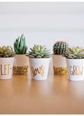 Adult Craft Ideas and supplies Deco Theme Marin, Wedding Souvenirs Diy, Kaktus Dan Sukulen, Craft Projects For Adults, Succulent Wedding Favors, نباتات منزلية, Let It Grow, Wedding Giveaways, Types Of Succulents