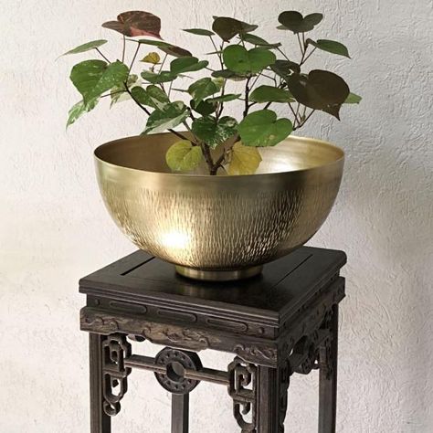 Flowers Pots & Planters by Mora Taara: Metal, Ceramic, Terracotta Concept Board Architecture, Golden Bowl, Indian Room Decor, Bowl Planter, Brass Pot, Brass Bowl, Modern And Traditional Decor, Kitchen Bowls, Brass Planter