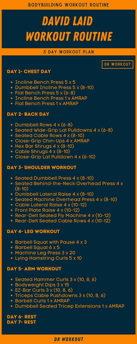 David Laid Workout Routine 7 Days Workout Plan At Gym, Gym Workouts Aesthetic Men, Aesthetic Workout Routine Men, Aesthetic Physique Men Workout Plan, Aesthetic Physique Men Workout, David Laid Workout Routine, Work Out Plan For Men, 5 Days Workout Plan Men, Aesthetic Body Men Workout