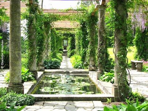 Ancient Greek Garden, Greek Garden, Persian Garden, Greek Villas, Rome Antique, Ancient Greek Architecture, British Garden, Moon Moon, Water Features In The Garden