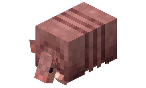 Armadillo Minecraft, Reference Pics, Minecraft Ideas, Minecraft, Diva, Fan, Memes