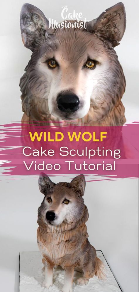 If you want to make your realistic cake, this tutorial is something you want to watch! Learn how to make the wolf cake. The Cake Illusionist explains all cake sculpting techniques and cake decorating tricks in her video tutorials. Check it now! #cakeideas #birthdaycake #cakedecorating Wolf Cake Ideas, Wolf Tutorial, Unusual Birthday Cakes, Cake Sculpting, Wolf Birthday, Wolf Cake, Sculpting Techniques, Tiered Cakes Birthday, Realistic Cakes